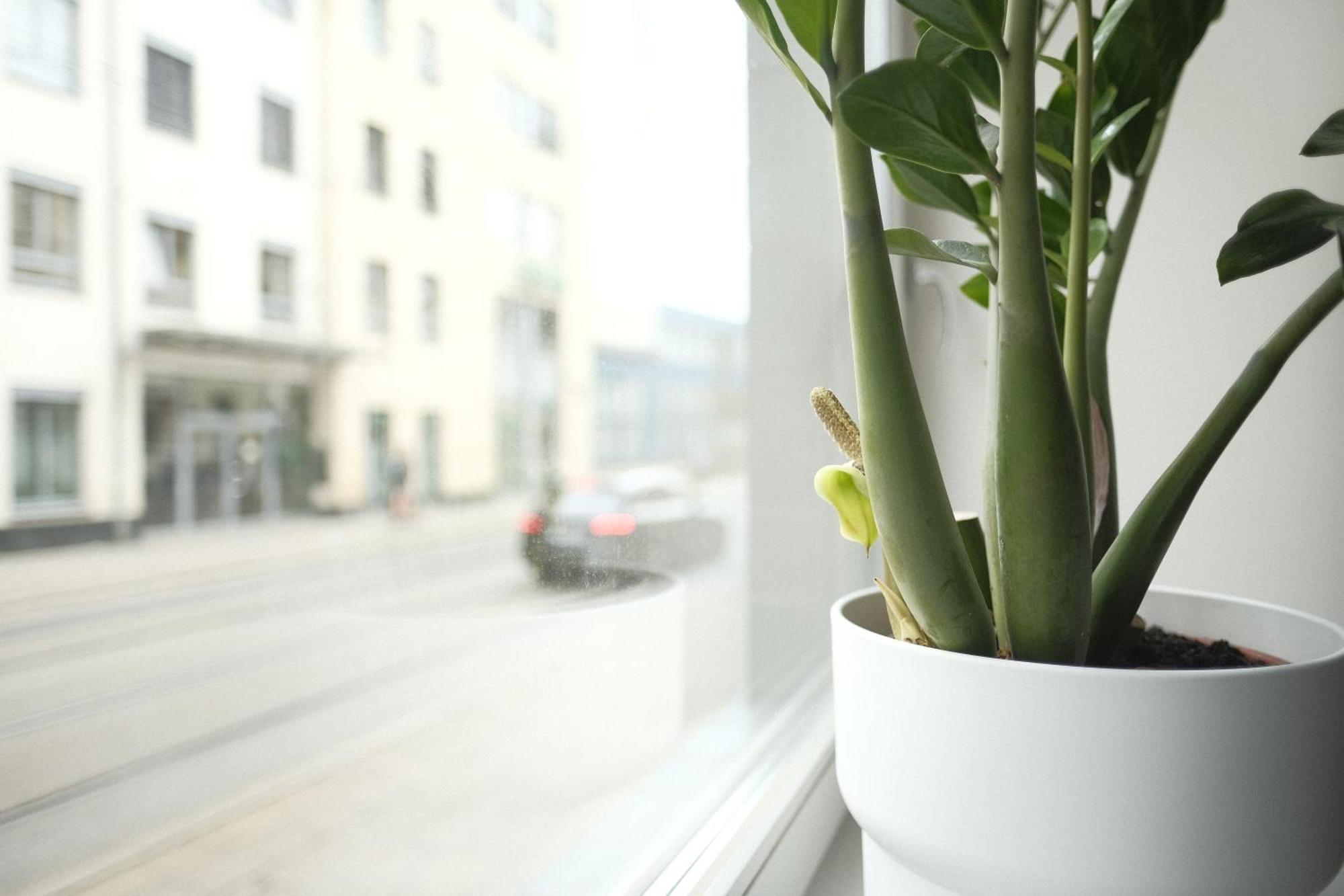 Apartments Zur Alten Konditorei Schwerin  Pokoj fotografie
